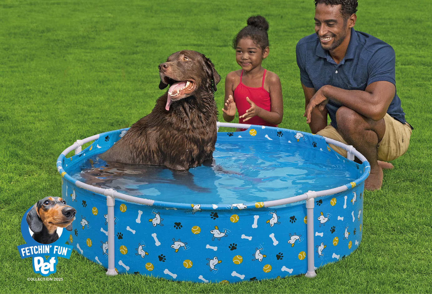 <h4>der-frame-pool-pfote:<br>--planschspaß-pur</h4>